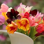 Îngrijirea florilor din vază-sfaturi esențiale
